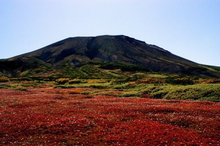 【画像】大雪山の紅葉