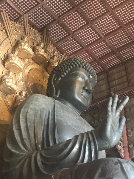 【画像】東大寺の大仏様